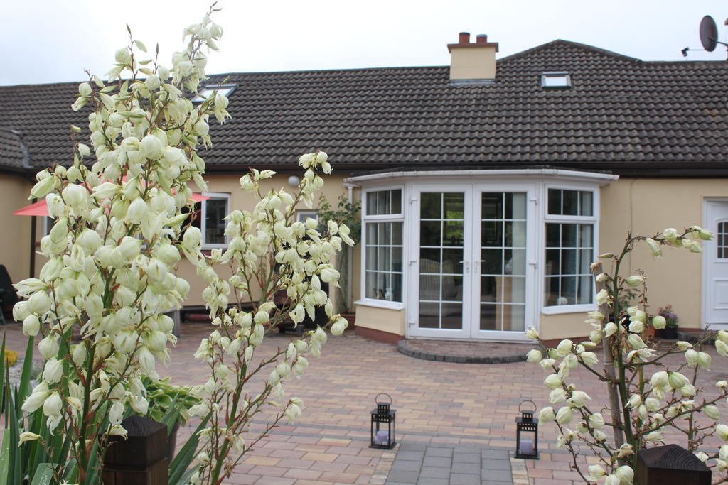 Woodview B&B Ardee Extérieur photo